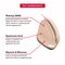 Mirabella Invincible For All Perfecting Under Eye Concealer Full Coverage  Hydrating Makeup Concealer for Dark Circles Fine Lines  Wrinkles wHyaluronic Acid  Ivory I50