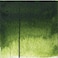 QoR Artist Watercolors by GOLDEN Sap Green 11 ml Tube Professional Watercolor Paint Transparent