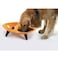 Pet Life  Melamine Sculpture Dual Food and Water Pet Bowl  Raised Dog Bowl with Durable Rubberized ToughTraction Grips