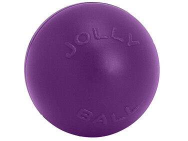 Jolly Pets PushnPlay Ball Dog Toy 14 InchesExtraLarge PurpleAll Breed Sizes