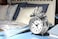 Equity 13014 Analog Twin Bell Alarm Clock