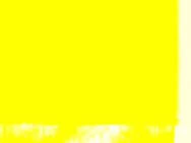 Golden Fluid Acrylics  Primary Yellow  4 oz Bottle