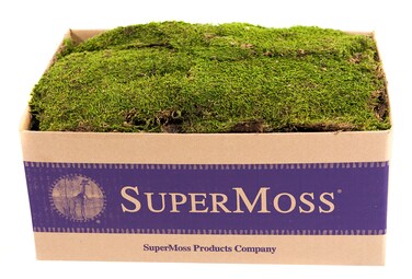 SuperMoss 21508 Preserved Sheet Moss Fresh Green 5 Pounds