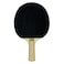 Martin Kilpatrick Cyclone Shakehand Table Tennis 4Player Set  PipsOut Surface with No Sponge  Offers Limited Speed  Spin with Great Control  Recommended for Beginning Level Players