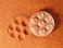 Yellow DoorYUS1022 Sensory Stones
