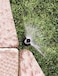 Rain Bird HEVAN15 HighEfficiency Spray Nozzle 0  360 Adjustable Pattern 12  15 Spray Distance