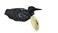 Loon Duck Statue Carved of Real Wood 5inch