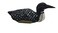Loon Duck Statue Carved of Real Wood 5inch