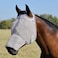 Cashel Crusader Horse Fly Mask with Long Nose Grey Warmblood