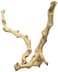 Zoo Med Sandblasted Grapevine Medium 12Inch Single