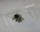 Paialco Clear Plastic Flat Rectangle Storage Box for Beads and Tools 4Inch by 7Inch
