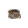 Fender Blues Deluxe Harmonica Key of E