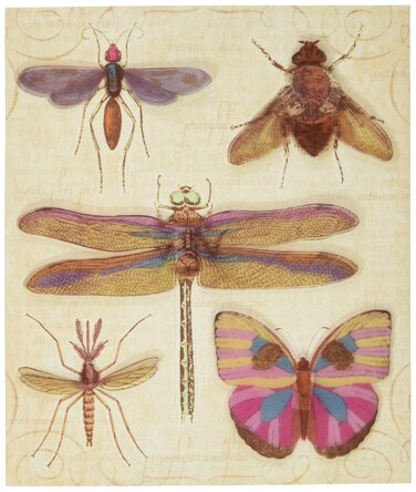 EK Success KCompany Insects Grand Adhesions Stickers