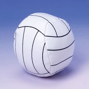 US Toy GS476 Mini Volleyballs