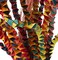 Planet Pleasures Octopus Piata Bird Toy Large