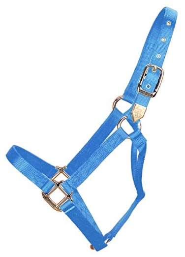 Hamilton 1Inch Nylon Horse Halter 8001100Pound Berry Blue