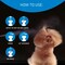 Artero MattX Dematter Ultra Dematting and Finishing Spray for Dogs and Cats A Powerful dematting Conditioning Spray