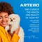 Artero MattX Dematter Ultra Dematting and Finishing Spray for Dogs and Cats A Powerful dematting Conditioning Spray