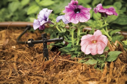 Rain Bird SW1030PS Drip Irrigation Spot Watering DripperEmitter 1 Gallon Per Hour 30Pack