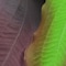biOrb Silk Plant Set Medium Green  Purple