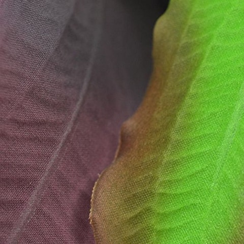 biOrb Silk Plant Set Medium Green  Purple