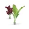 biOrb Silk Plant Set Medium Green  Purple