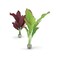 biOrb Silk Plant Set Medium Green  Purple