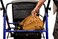 Lumex Replacement Storage Pouch for Rollators 1 Each RJ4300POUCH