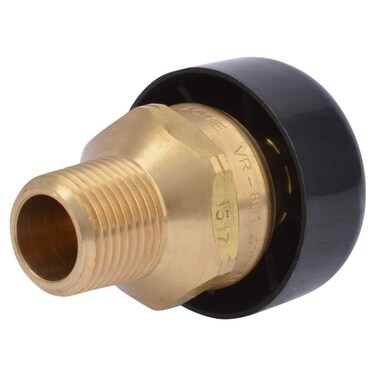 Cash Acme 223970000LF VR801 Vacuum Relief Valve Vent with Dust Cover 12Inch Bronze