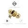 Design House 782912 Ball Passage Hall and Closet Door Knob Polished Brass