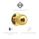 Design House 783191 Ball Knob 1Pack Polished Brass