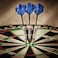 Viper by GLD Products unisex adult 23 Grams darts Black grams US