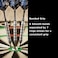 Viper Underground Steel Tip Darts Rock  Roll 23 Grams Black