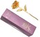 24K Gold Rose for Her Eternal Love Real Golden Plated Preserved Eternal Rose Flower Best Present for Anniversary Day WifeMomGrandmaWomen Gold