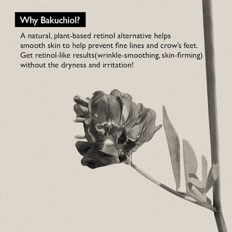 Haruharu Wonder Black Rice Bakuchiol Eye Cream 067 floz  20ml  AntiAging Wrinkle Care Natural Retinol Alternative  Cruelty Free EWGGreen