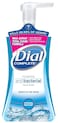 DialComplete Antibacterial Foaming Hand Soap 2Scent Variety Pack Spring WaterFresh Pear 75 Fluid Ounces Each  5 count Pack of 1