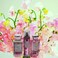 Bath and Body Works Sweet Pea Set Body Lotion Shower Gel and Fragrance Mist Full Size