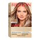 REVLONPermanent Hair Color Permanent Hair Dye Color Effects Highlighting Kit Ammonia Free  Paraben Free 20 Blonde 8 Oz Pack of 1