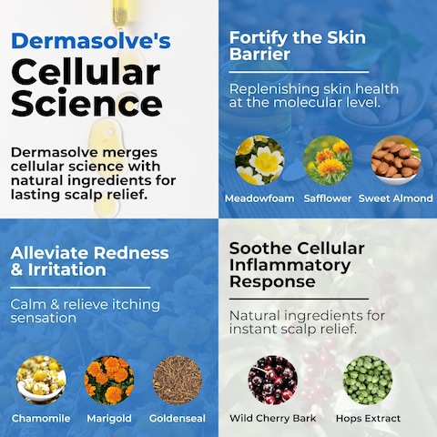 Dermasolve4 oz Psoriasis Seborrheic Dermatitis  Dandruff Scalp Oil  Dermatologist Approved  Itchy Flaky Scalp Relief  Clinically Tested LongLasting ItchFree HighPerformance Formula