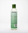 EDEN BodyWorks Peppermint Tea Tree Clear Clarifying Shampoo for Oily Hair Dry Hair Curly Hair  Scalp Cleansing Shampoo for Build Up  Dandruff  Paraben  Sulfate Free  8 oz