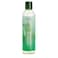 EDEN BodyWorks Peppermint Tea Tree Clear Clarifying Shampoo for Oily Hair Dry Hair Curly Hair  Scalp Cleansing Shampoo for Build Up  Dandruff  Paraben  Sulfate Free  8 oz
