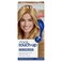 ClairolRoot TouchUp by Nicen Easy Permanent Hair Dye 8 Medium Blonde Hair Color Pack of 1
