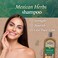 Tio Nacho Mexican Herbs Shampoo 14 Oz GEN2816A