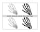 DS DISTINCTIVE STYLE 2 Pairs Korean Style Gothic Skeleton Hands Bone Hair Clips  Fashion Punk Rock Devil Claw Alligator Barrettes Women Girls Hair Accessories Black and White