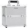 Professional Makeup Train Case Aluminum Makeup Box 4Tier Trays Crafters Train Case Jewelry Storage Organizer with Lockable Portable Travel Makeup Storage Box for Women and Girls Bright Silver