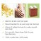 Clean  Easy Vit E RollOn Wax 6pack Large Vitamin E Net Wt 168 oz