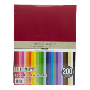 Recollections Cardstock Paper Essentials 20 Colors  200 Sheets 812 X 11