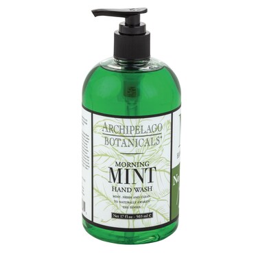 Archipelago Botanicals Morning Mint Liquid Hand Soap Moisturizing Daily Hand Wash with Soap Pump Kitchen or Bathroom Hand Soap 170 Fl Oz