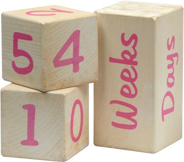 Portrait Prop Age Blocks  Pink  2 Number Blocks  Made in USA