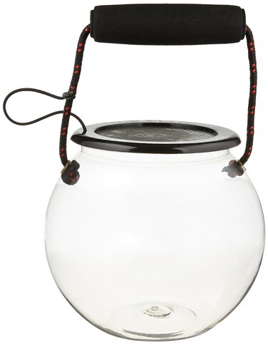 Dry Branch Sports Design Catch and Release Plastic Beach Aquarium Kit  Clear Fish